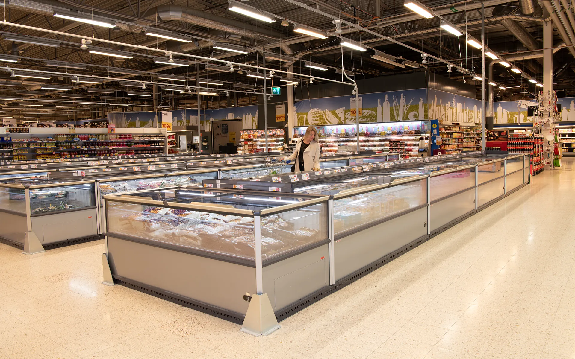 Full 瑞典插電式冷凍島